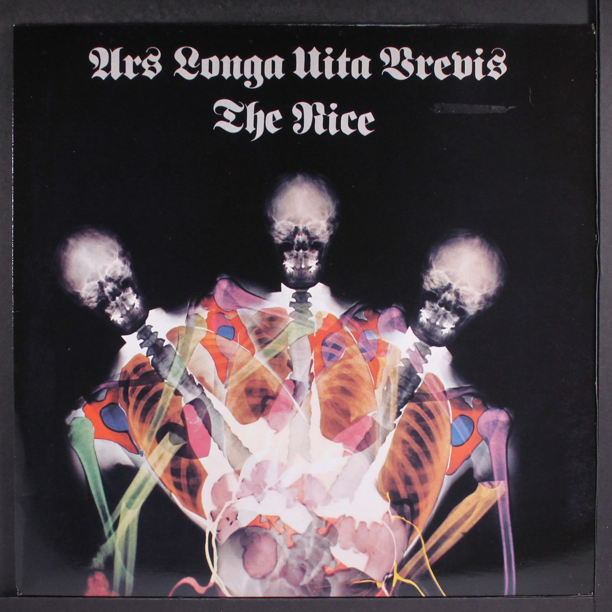ars longa vita brevis by NICE