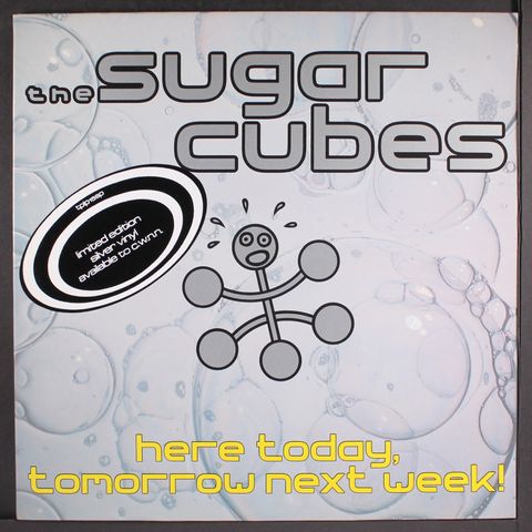 SUGARCUBES (SYKURMOLARNIR)