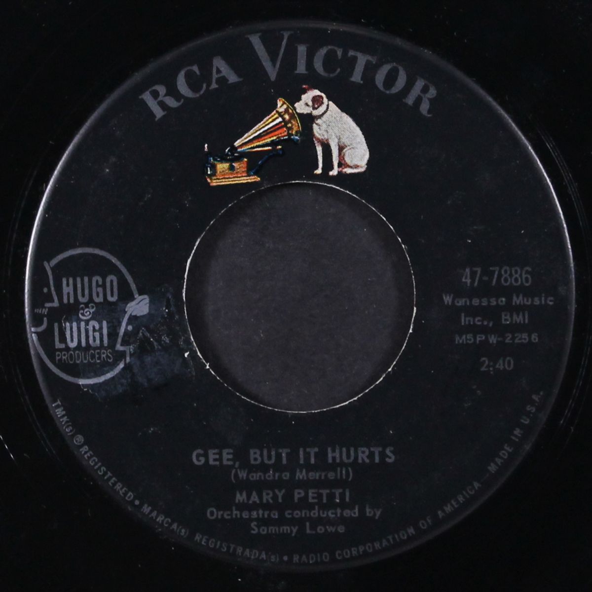hey! lawdy, lawdy / gee, but it hurts by MARY PETTI