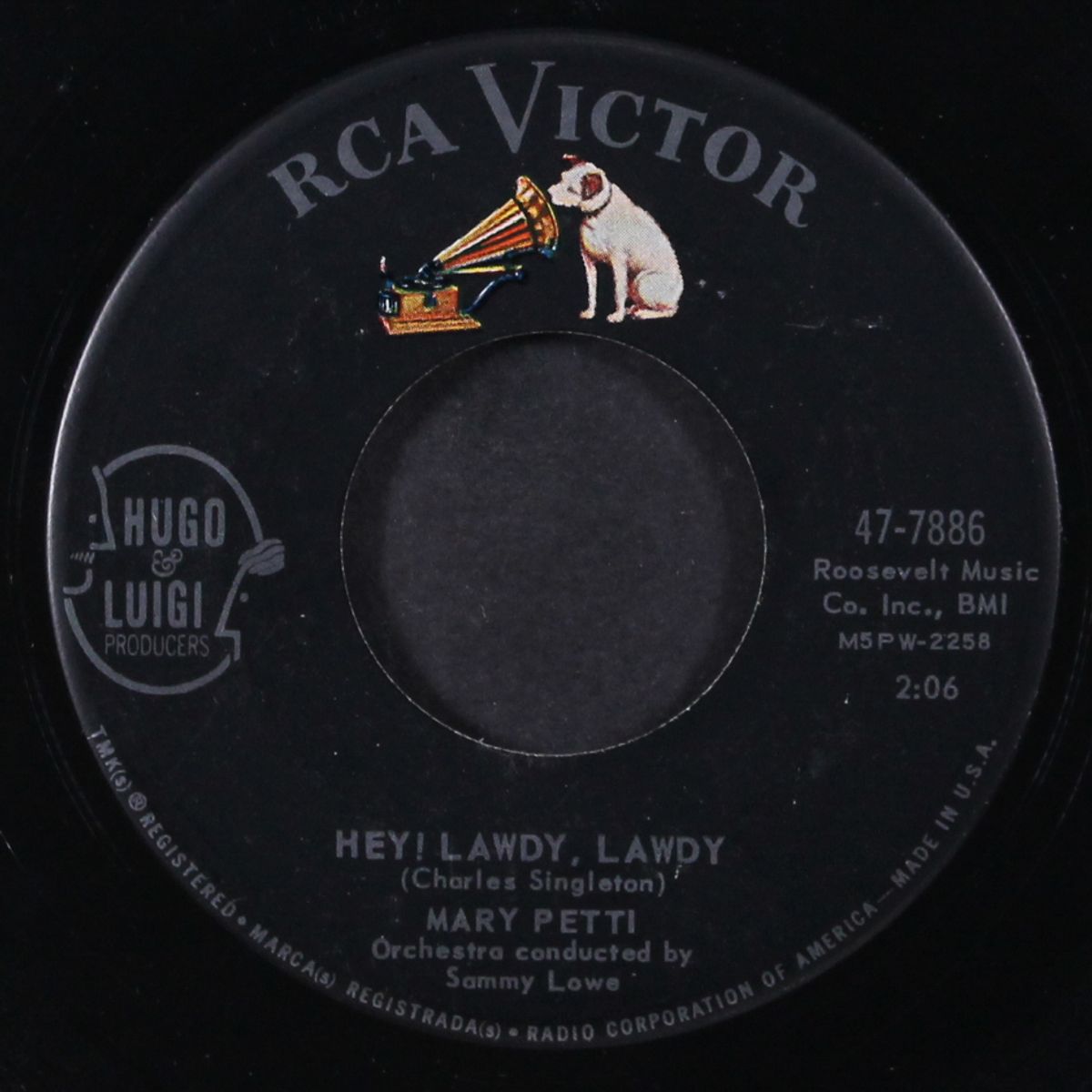 hey! lawdy, lawdy / gee, but it hurts by MARY PETTI