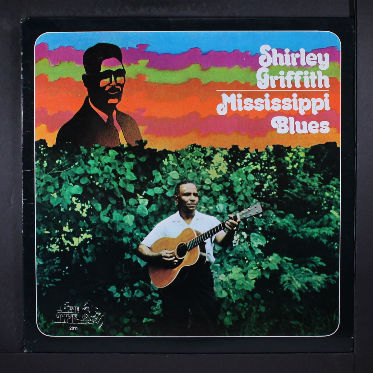 mississippi blues by SHIRLEY GRIFFITH