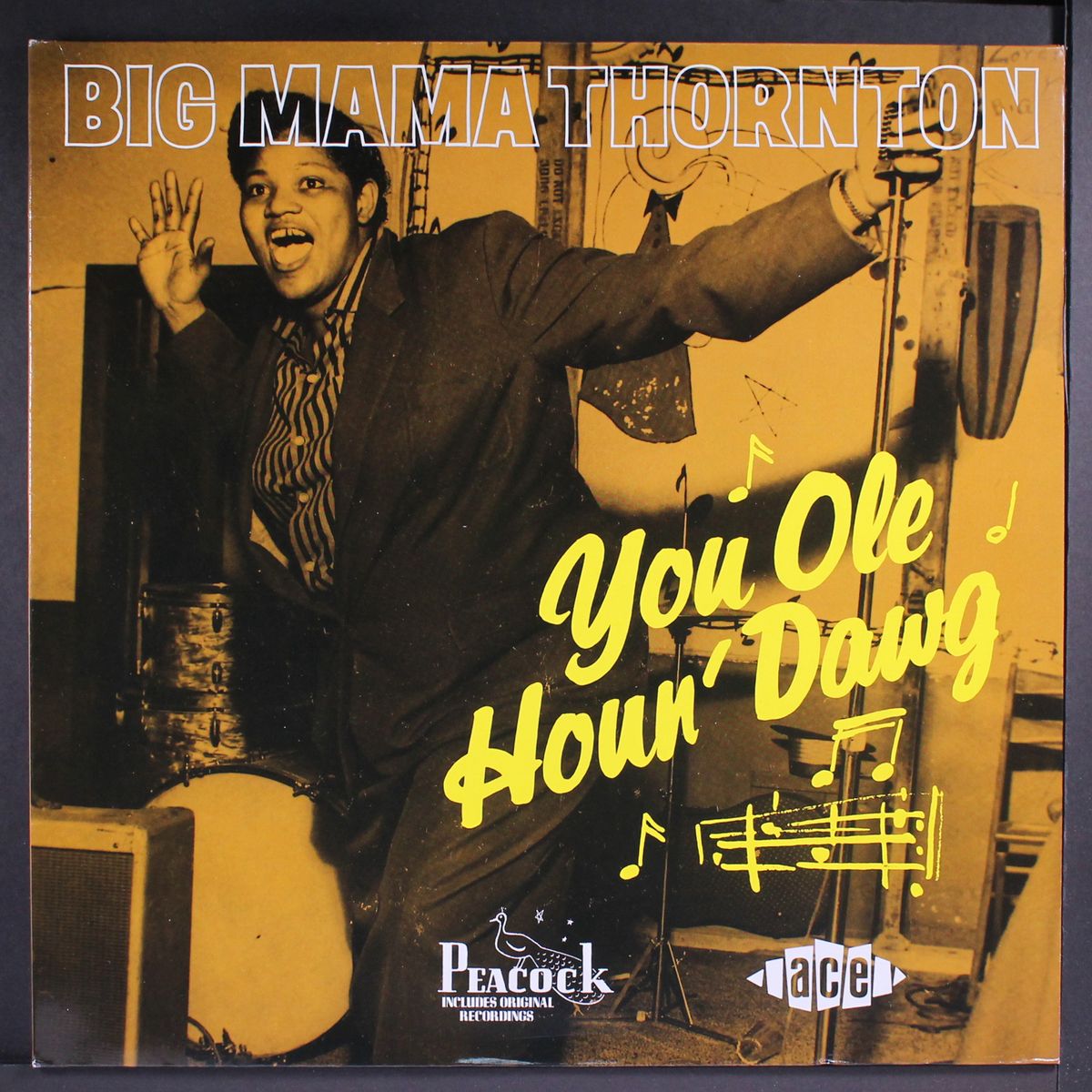 you ole houn' dawg by BIG MAMA THORNTON