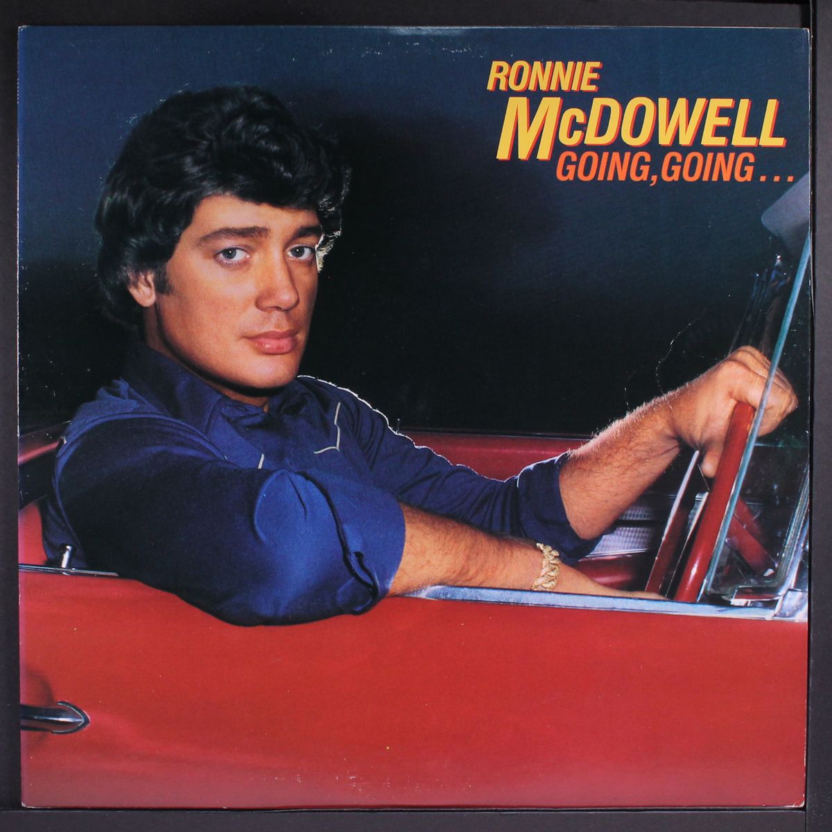 going, going...gone by RONNIE MCDOWELL