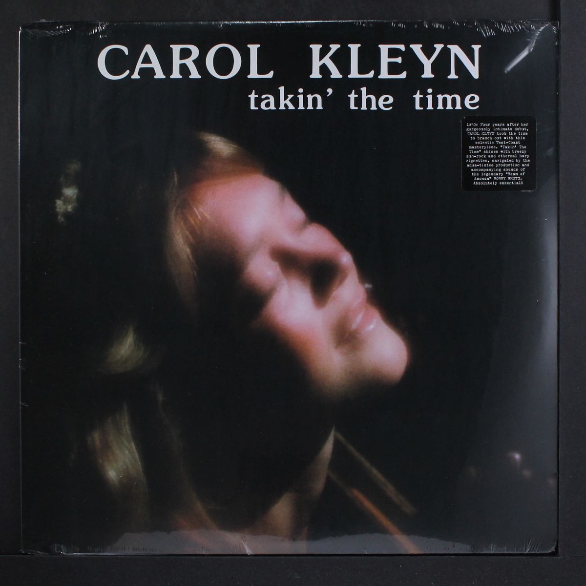 takin' the time by CAROL KLEYN