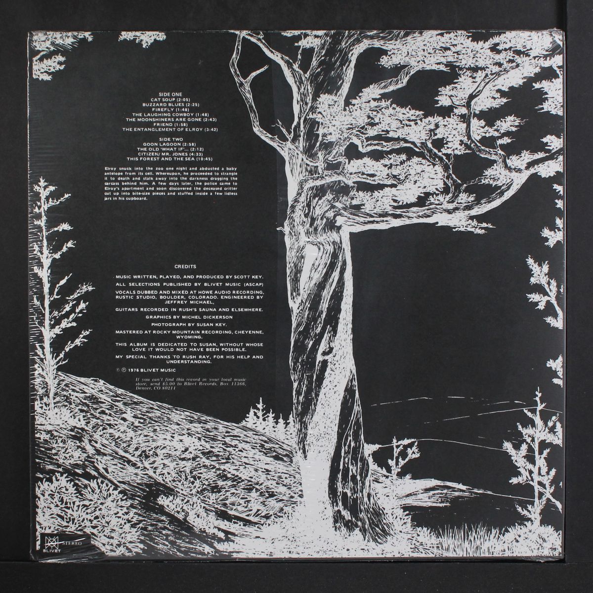 the forest and the sea by SCOTT KEY