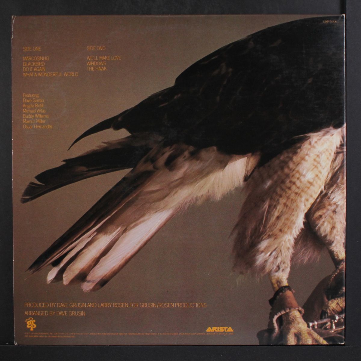 the hawk by DAVE VALENTIN