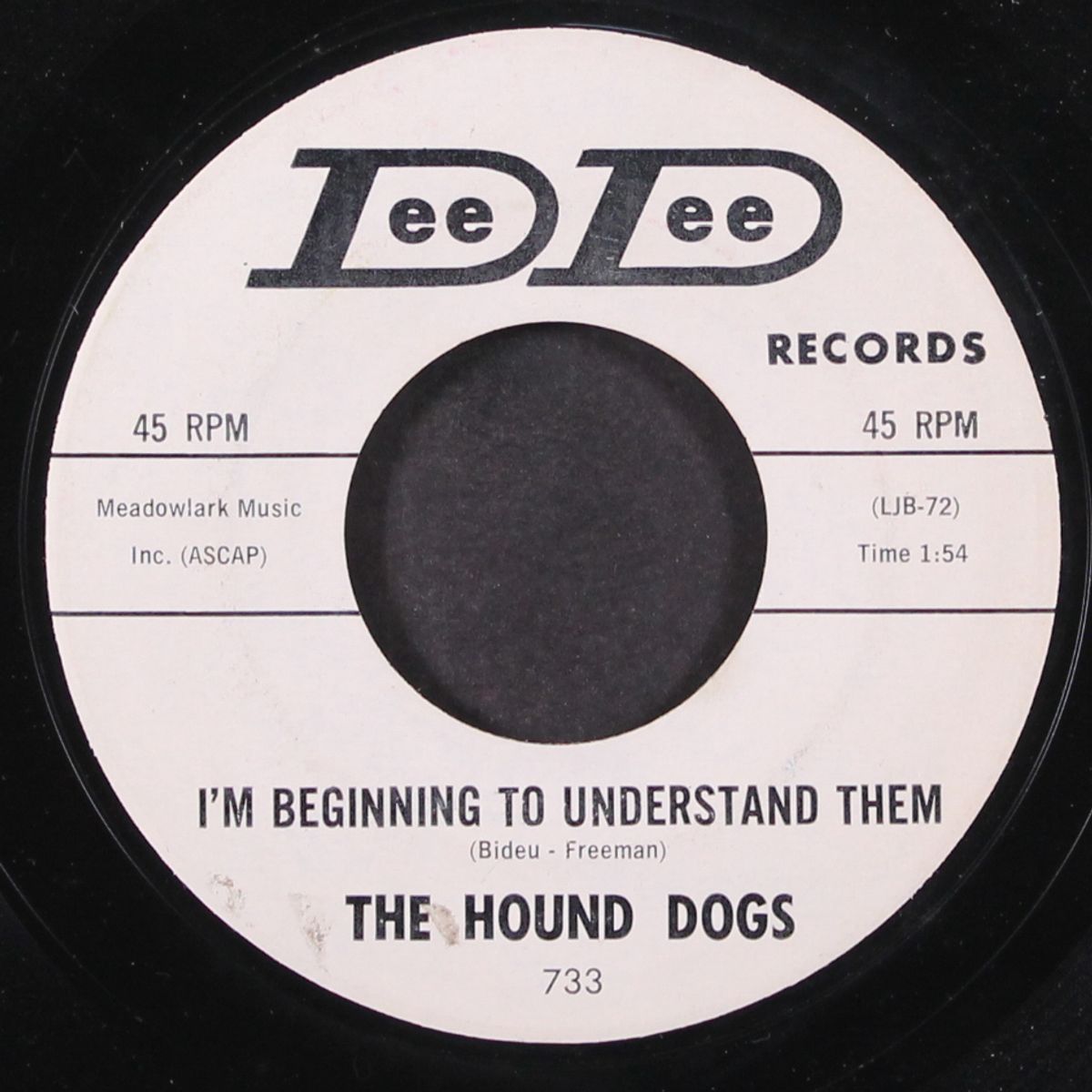 i'm beginning to understand them / the girl in the bikini by HOUND DOGS