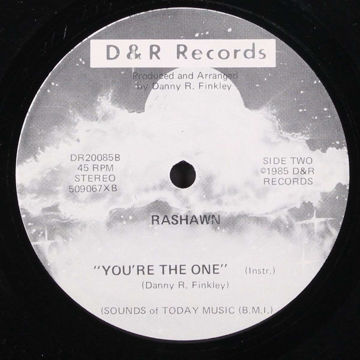 you're the one / instrumental by RASHAWN