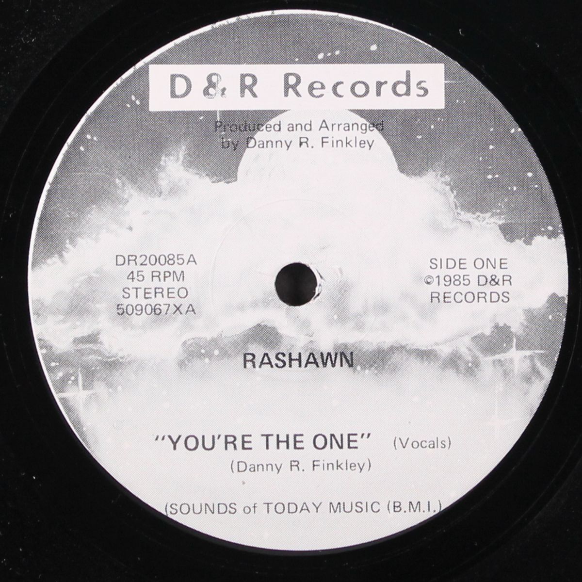you're the one / instrumental by RASHAWN