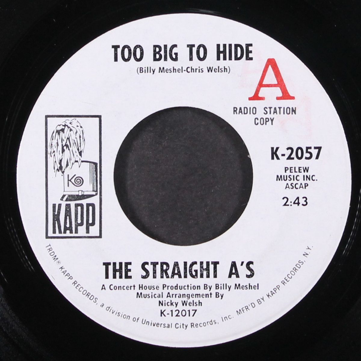 too big to hide by STRAIGHT A'S