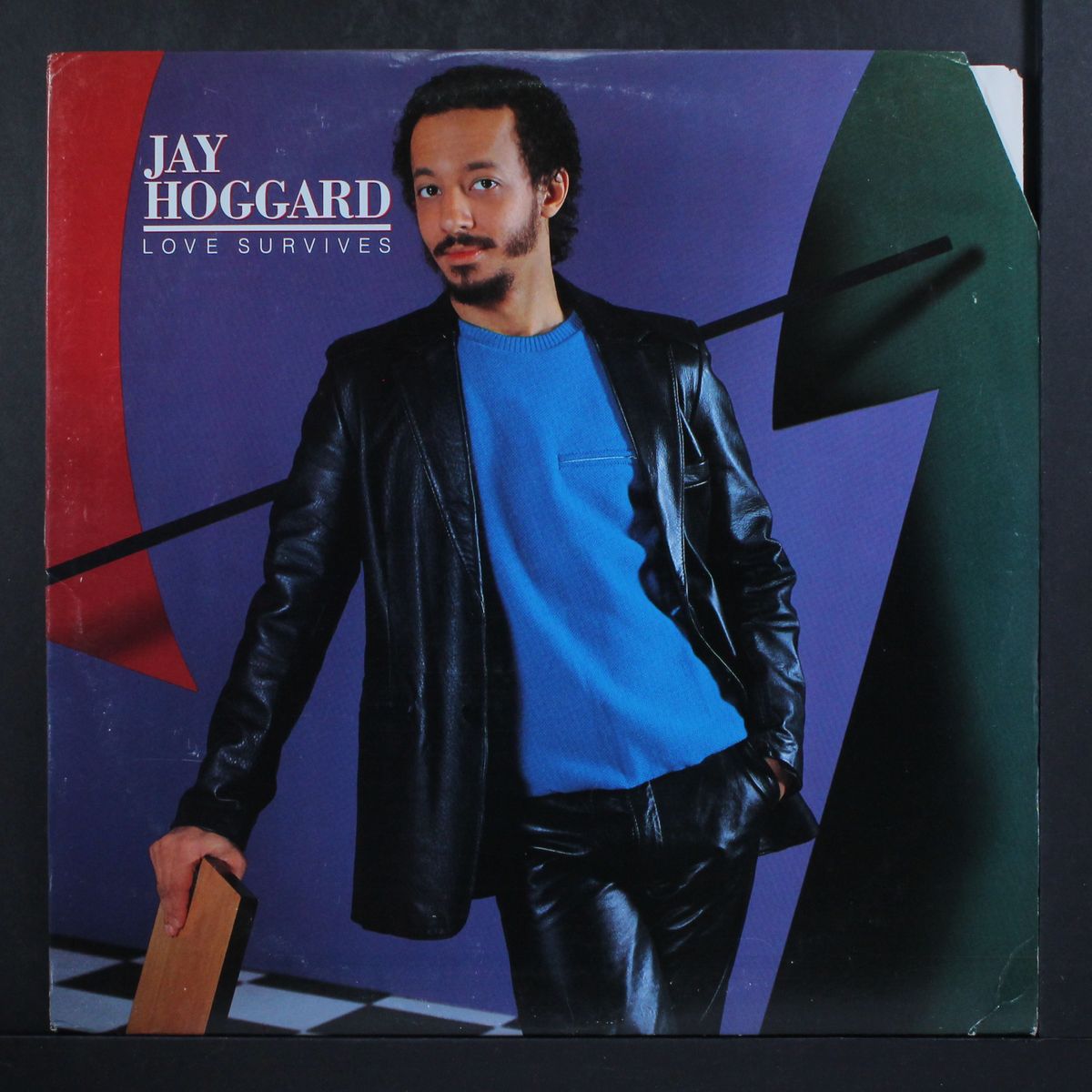 love survives by JAY HOGGARD