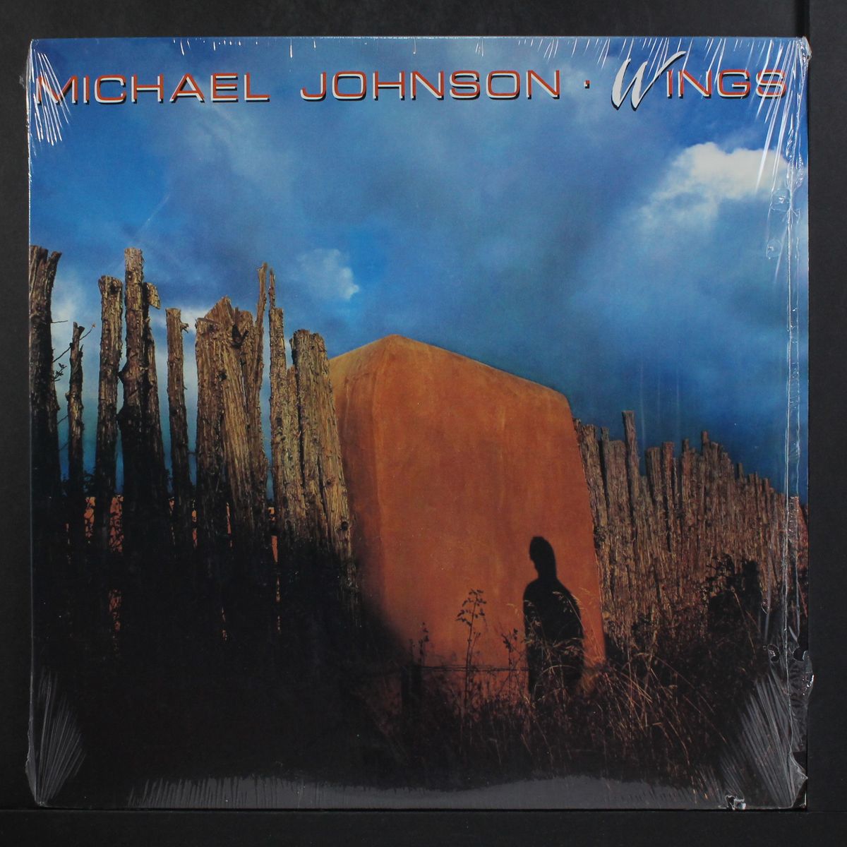 wings by MICHAEL JOHNSON