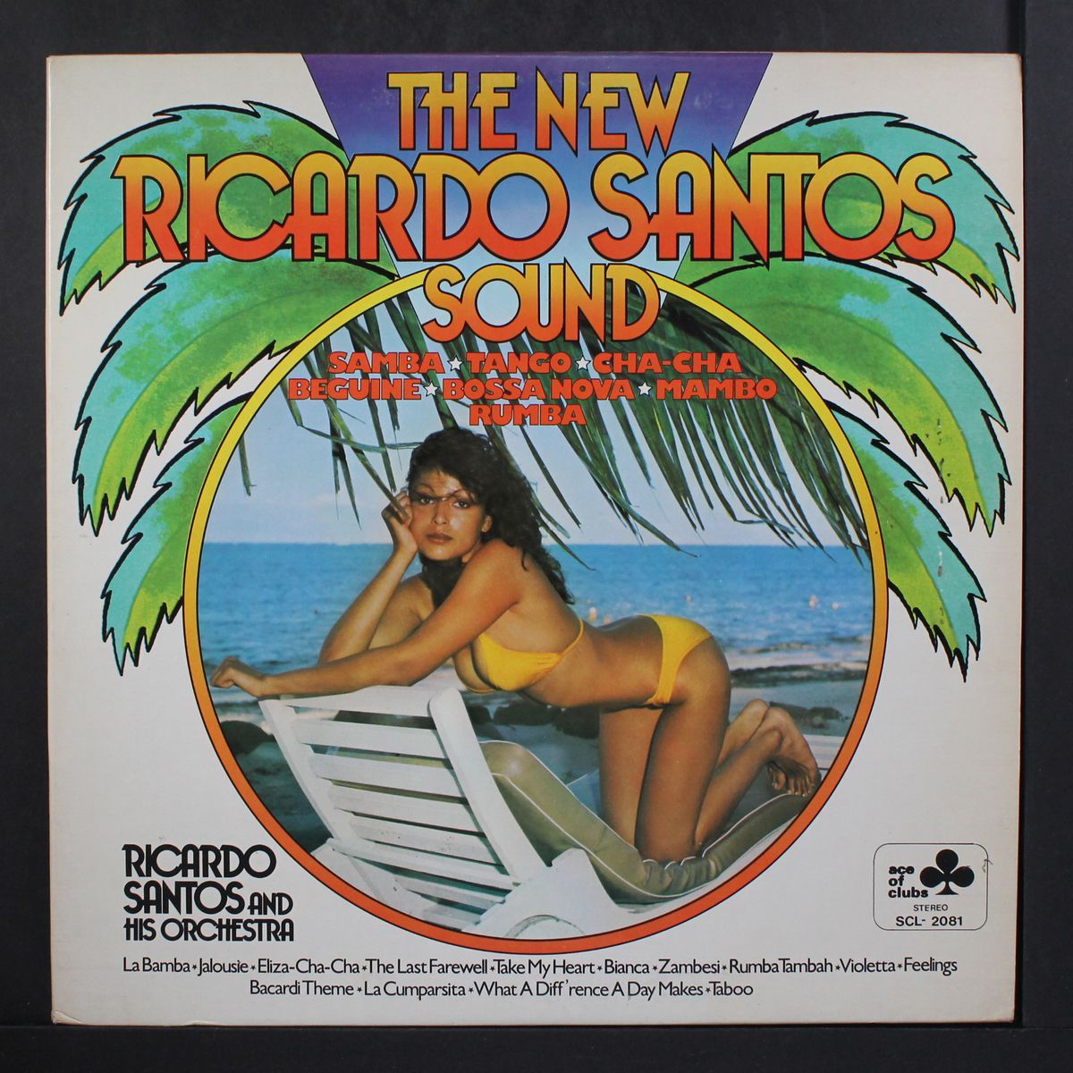 the new ricardo santos sound by RICARDO SANTOS