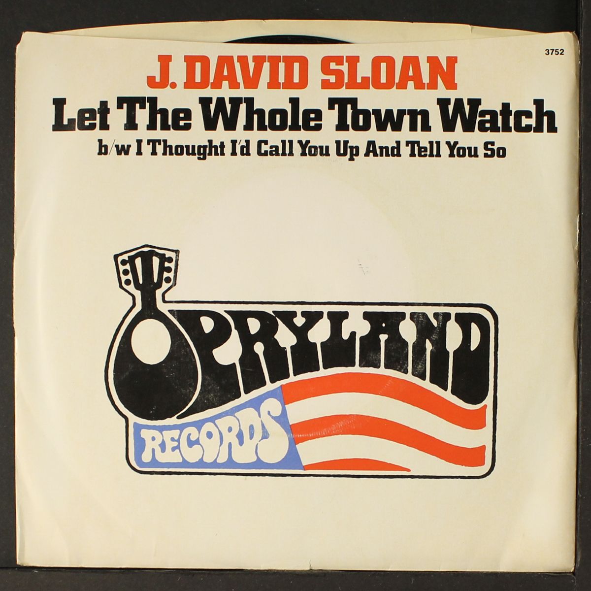 let the whole town watch by J. DAVID SLOAN