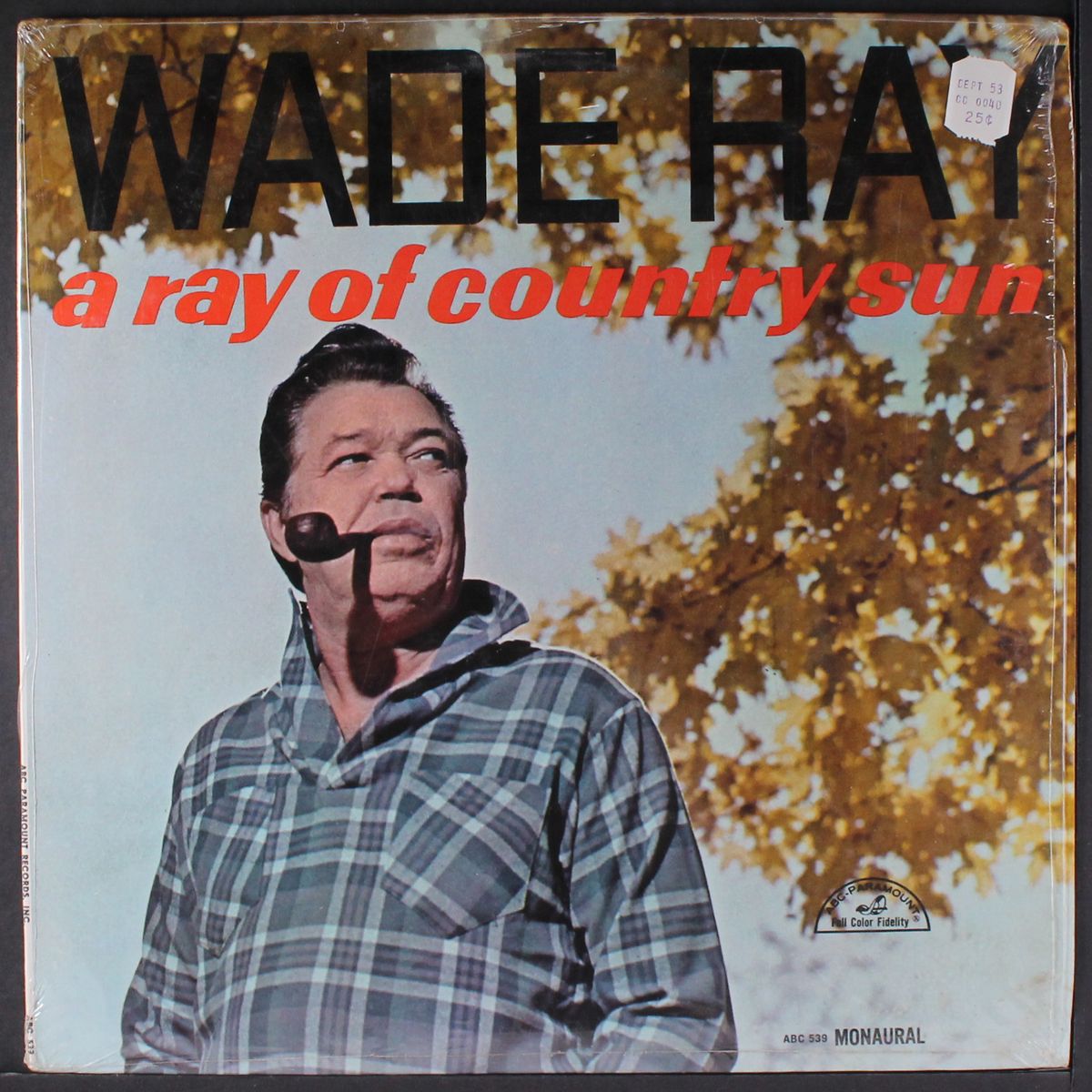 a ray of country sun by WADE RAY