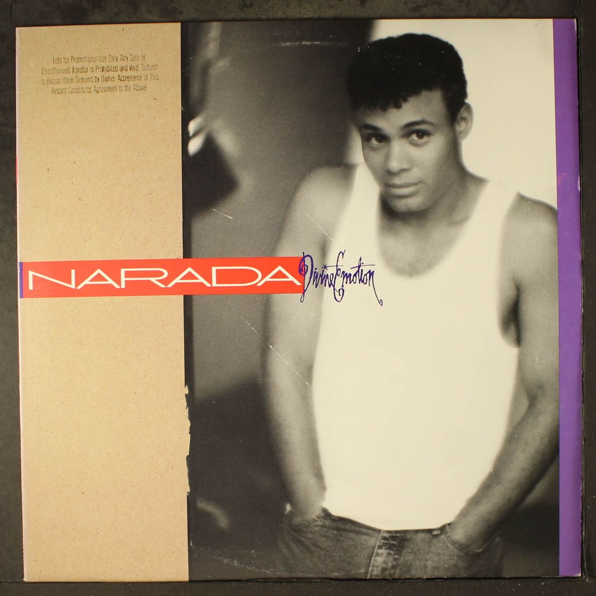 divine emotion by NARADA