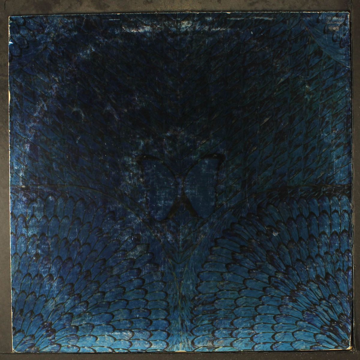 borboletta by SANTANA