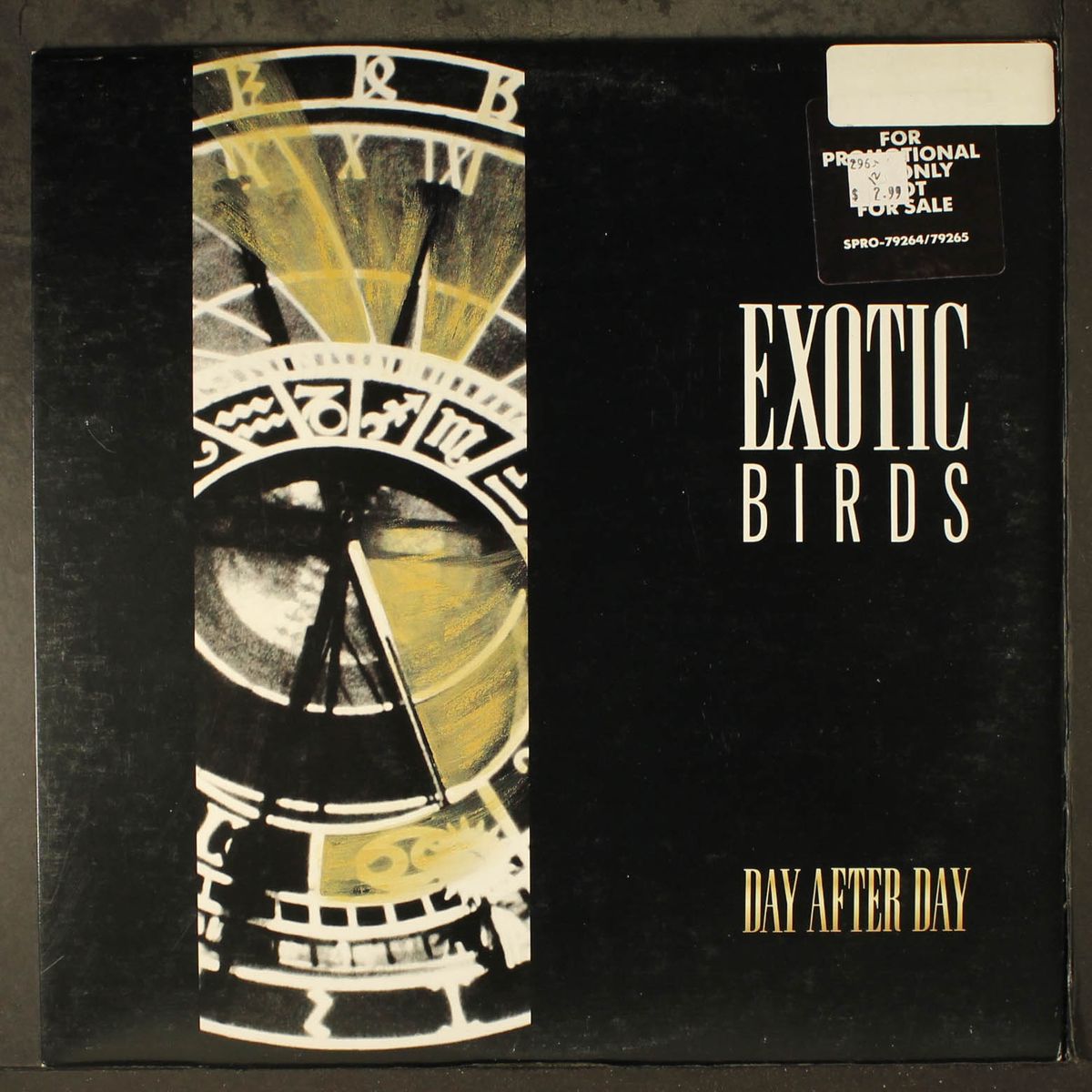 day after day by EXOTIC BIRDS