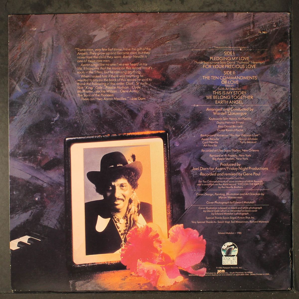 orchid in the storm by AARON NEVILLE