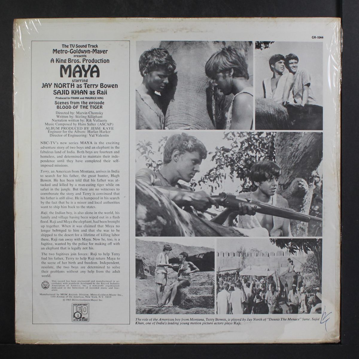 maya by TV SOUNDTRACK