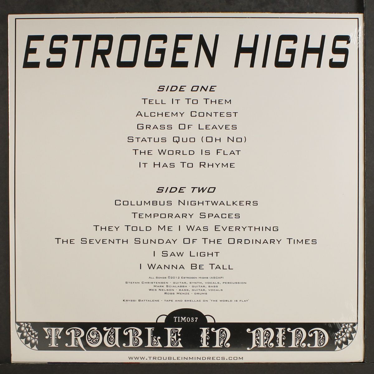 irrelevant future by ESTROGEN HIGHS