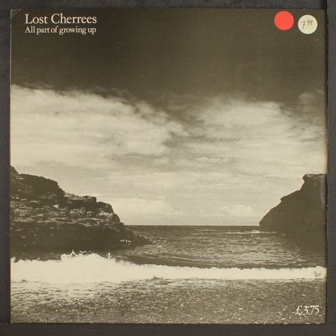 LOST CHERREES