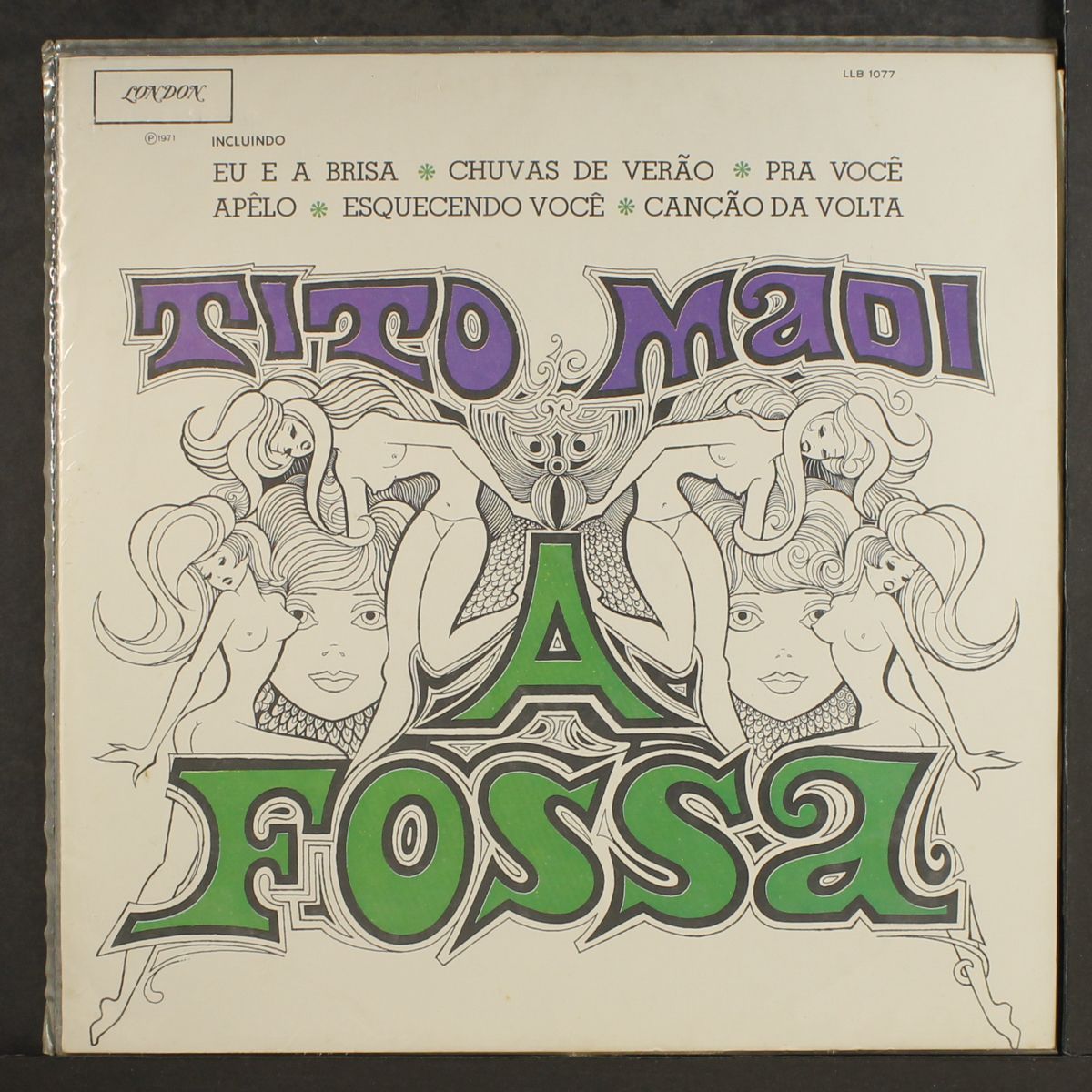 a fossa vol. 1 by TITO MADI