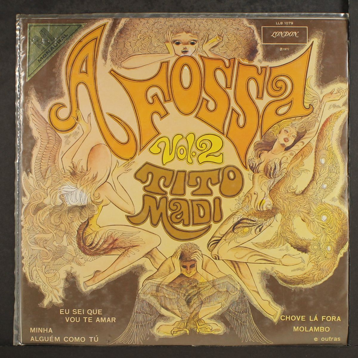 a fossa vol. 2 by TITO MADI