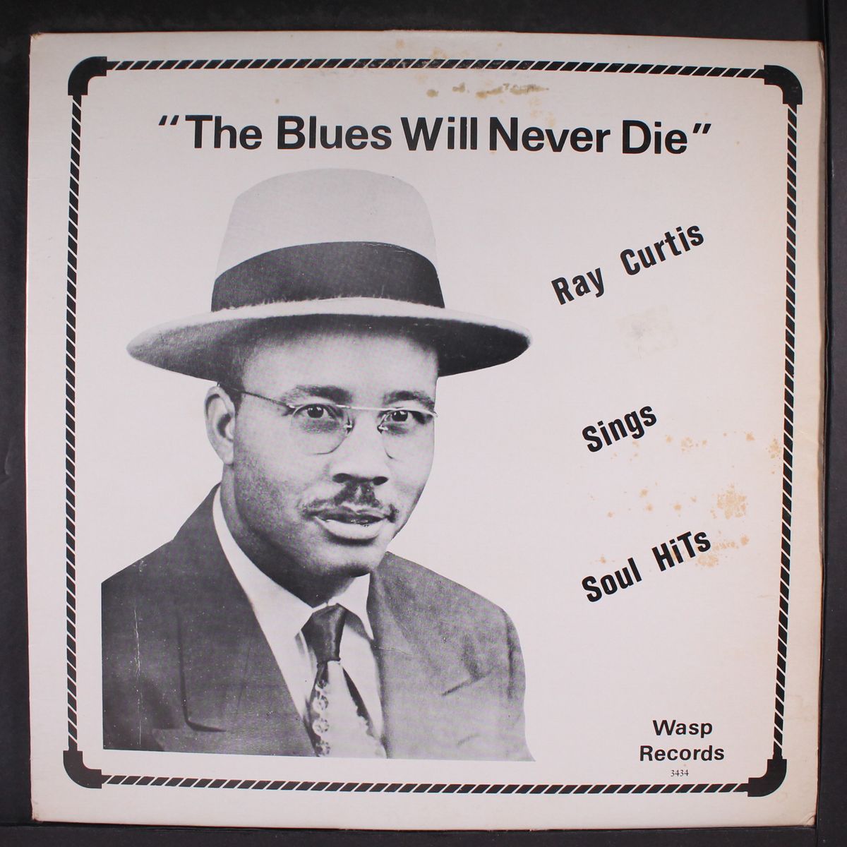 the blues will never die by RAY CURTIS