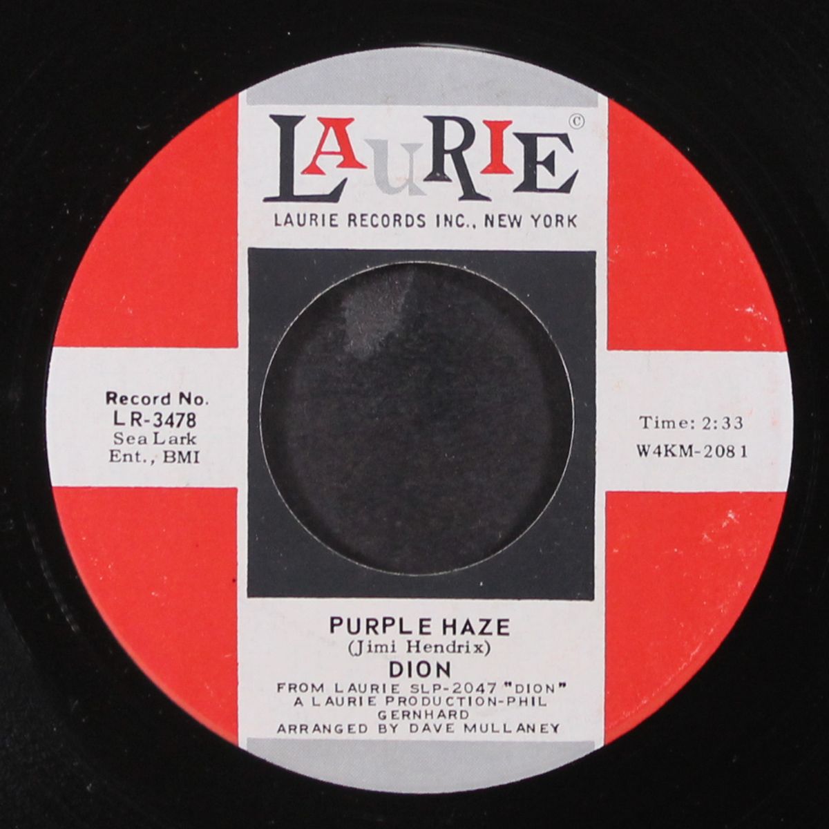 the dolphins / purple haze by DION