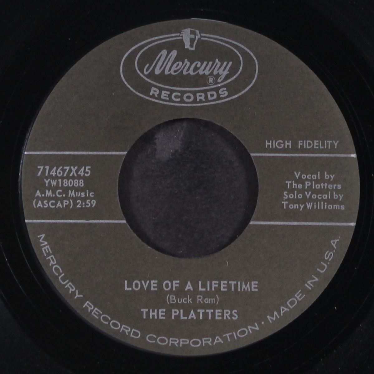 remember when / love of a lifetime by PLATTERS