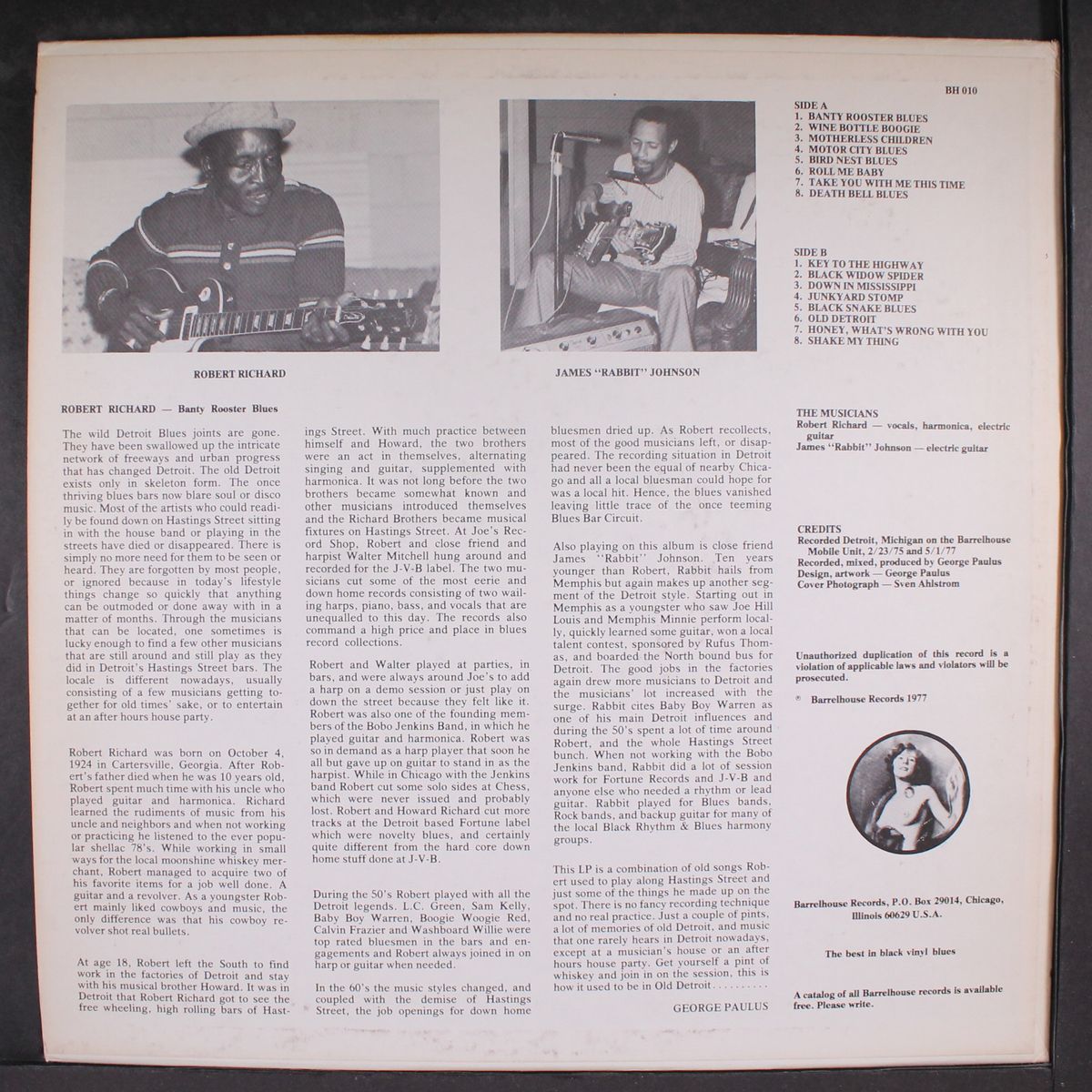 banty rooster blues by ROBERT RICHARD