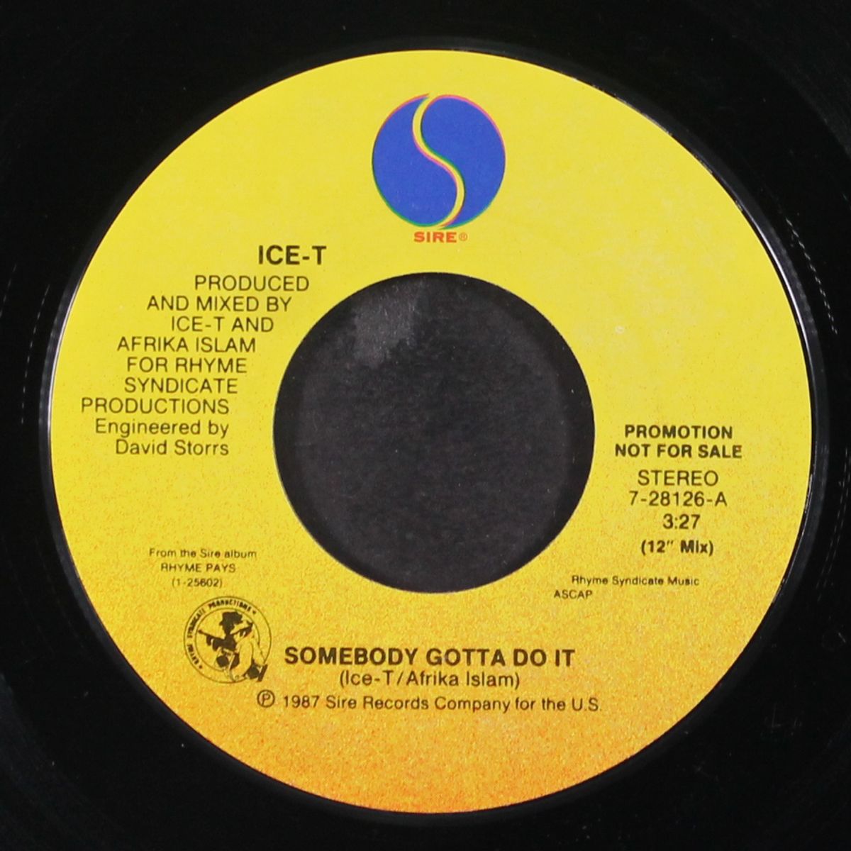 somebody gotta do it / same by ICE-T