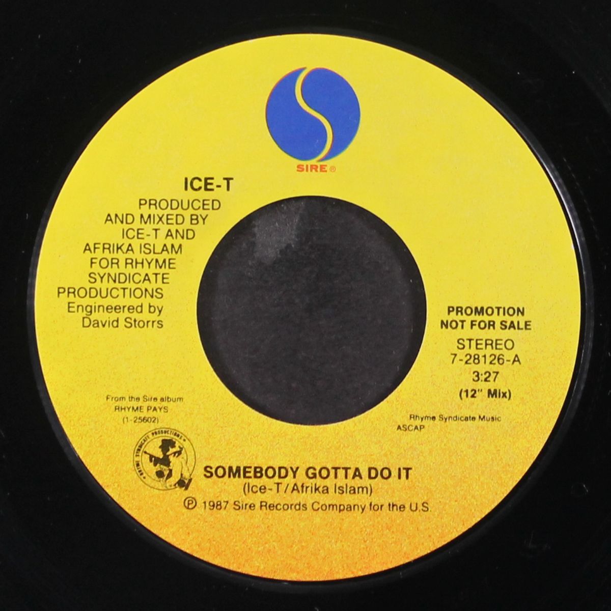 somebody gotta do it / same by ICE-T