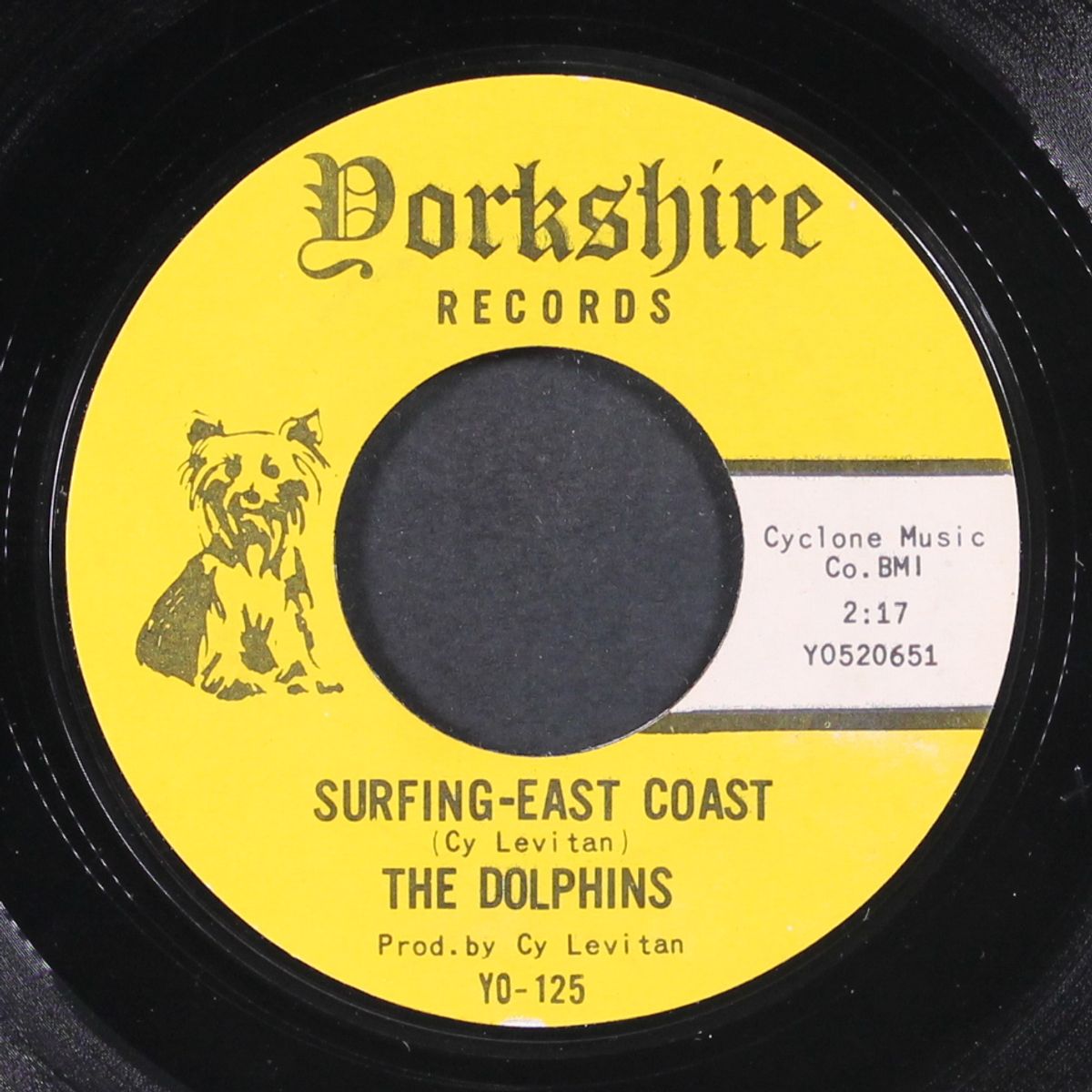 i should have stayed / surfing-east coast by DOLPHINS