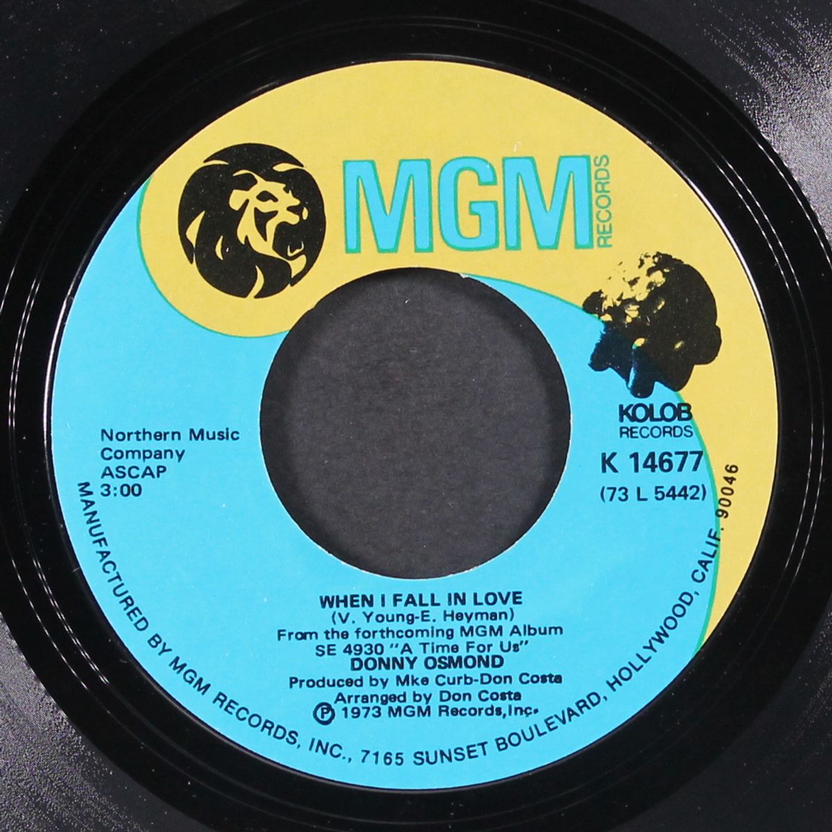 are you lonesome tonight / when i fall in love by DONNY OSMOND