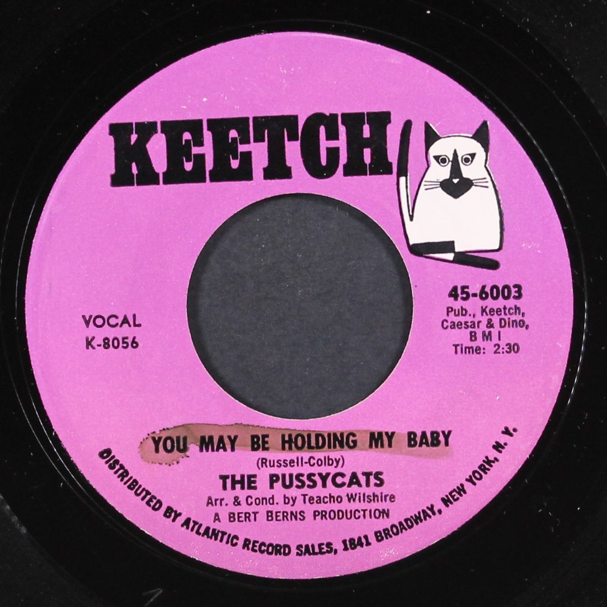 come on and ska / you may be holding my baby by PUSSYCATS