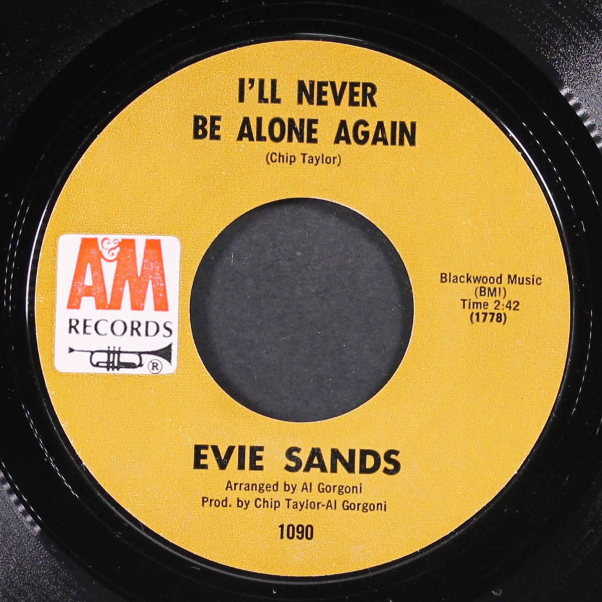 any way that you want me / i'll never be alone again by EVIE SANDS