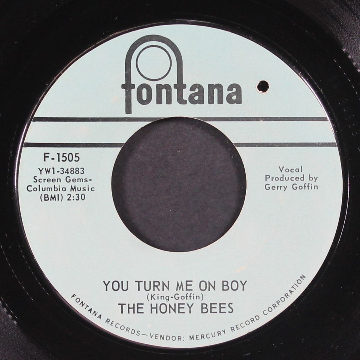 you turn me on boy / some of your lovin' by HONEY & BEES