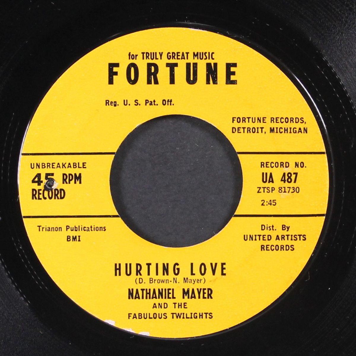 hurting love / leave me alone by NATHANIEL MAYER & FABULOUS TWILIGHTERS