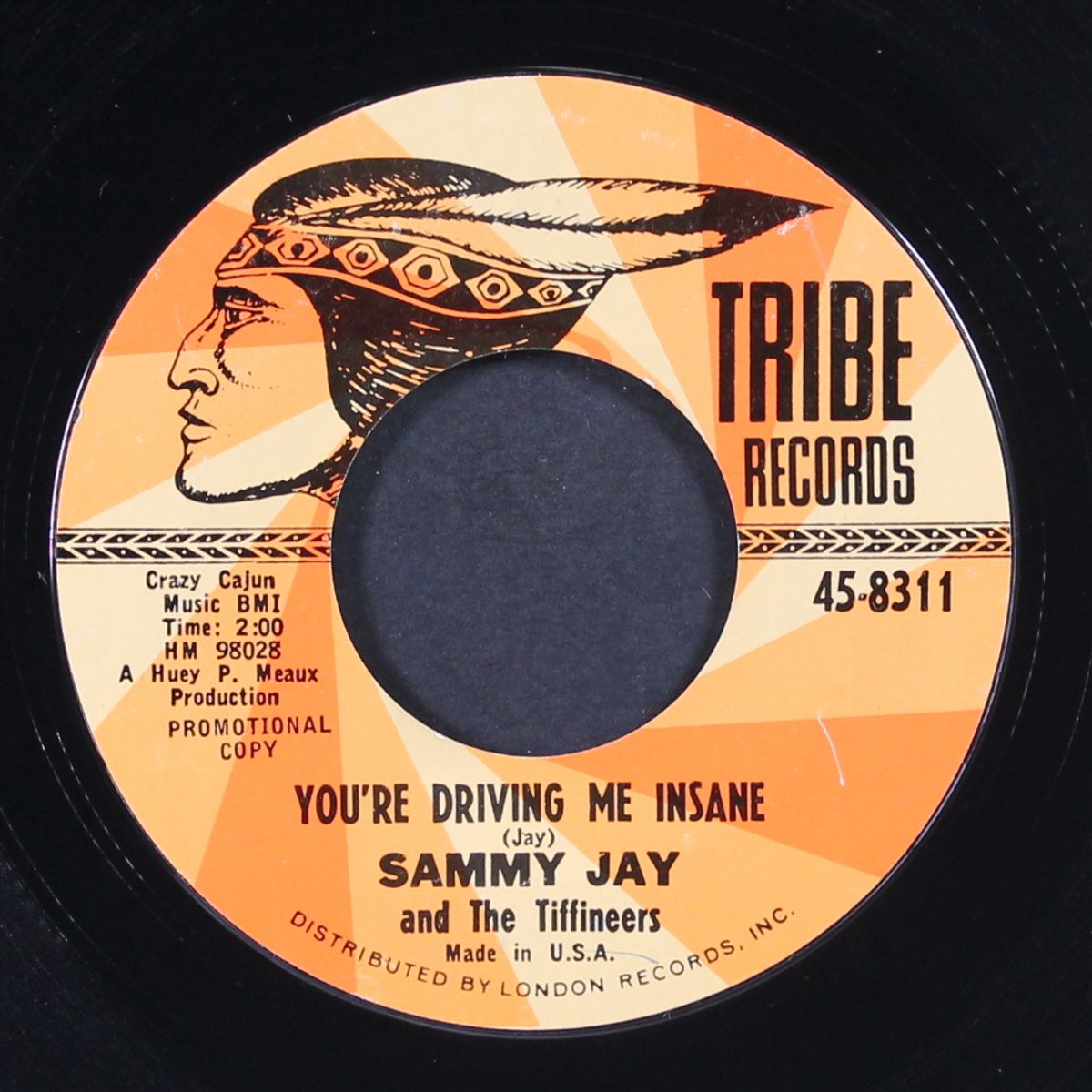 you're driving me insane / never let me go by SAMMY JAY & TIFFINEERS