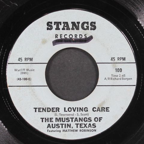 MUSTANGS OF AUSTIN, TEXAS
