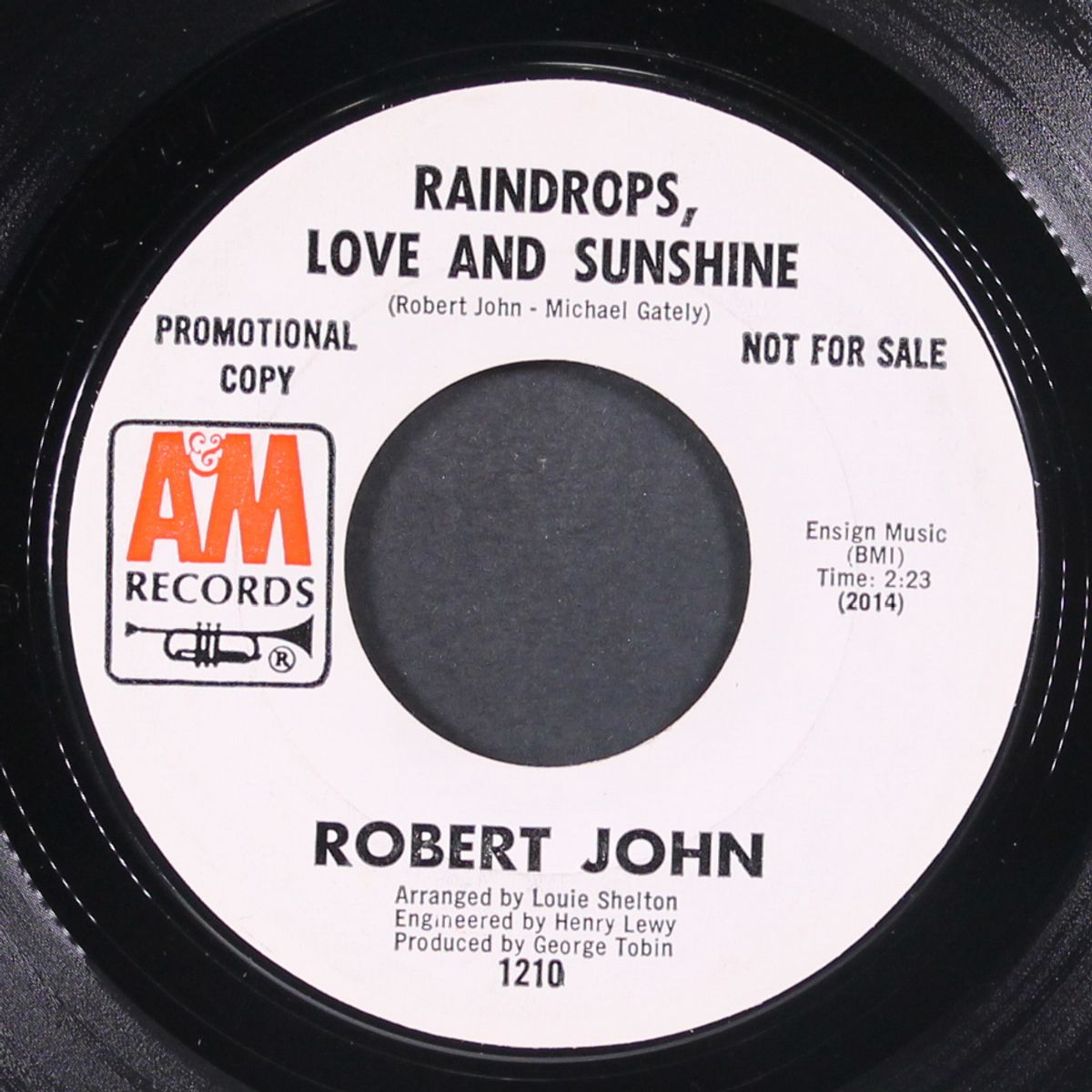 raindrops, love and sunshine / when the party is over by ROBERT JOHN