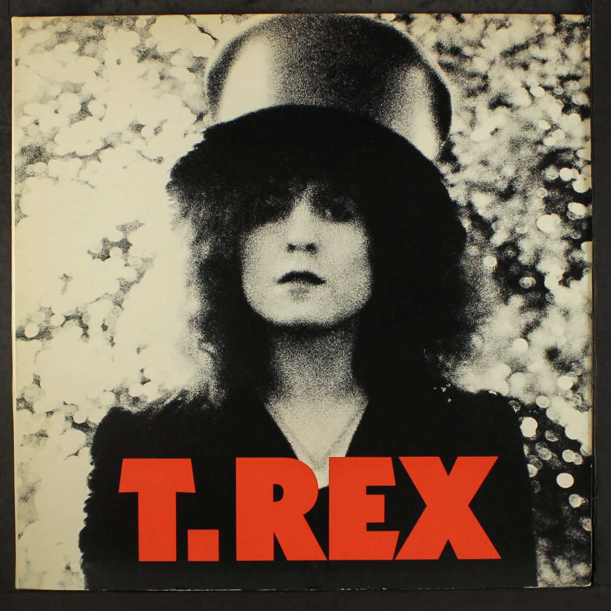 the slider by T. REX
