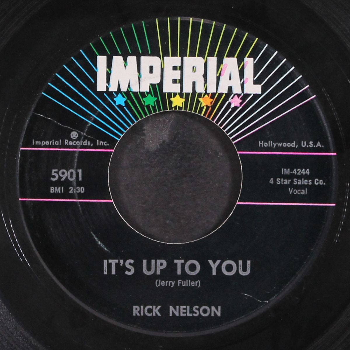 it's up to you by RICK NELSON