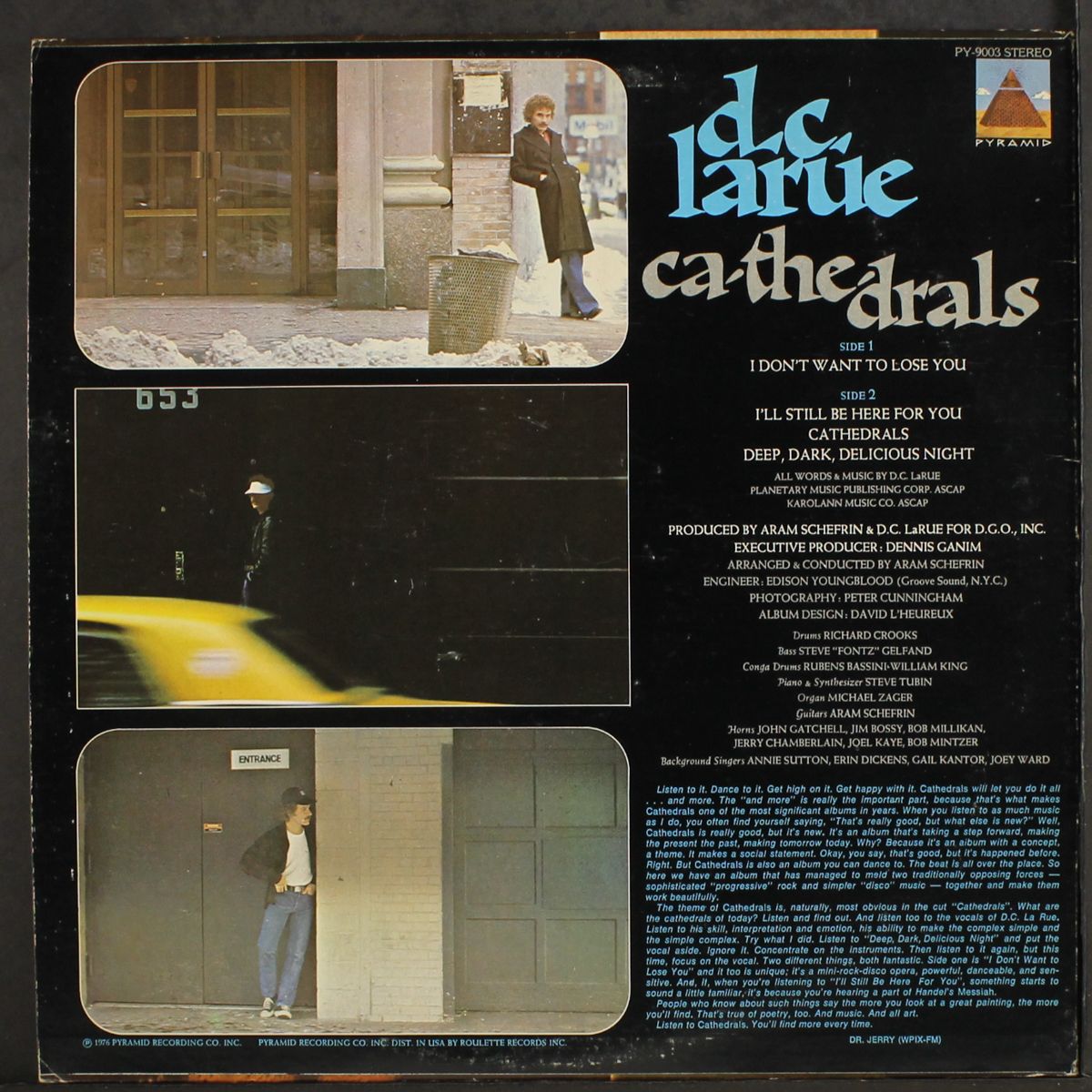 cathedrals by D.C. LARUE