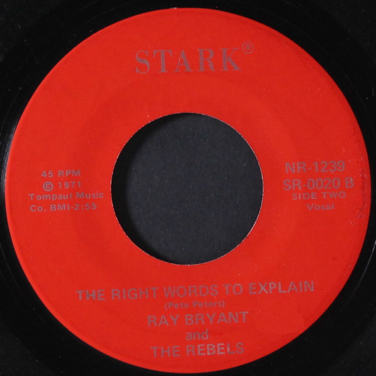 if seeing is believing / the right words to explain by RAY BRYANT