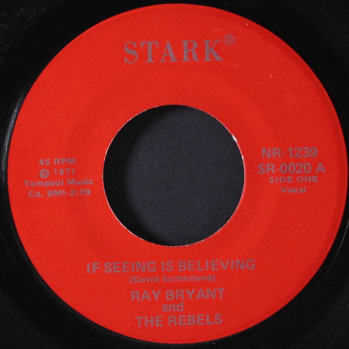 if seeing is believing / the right words to explain by RAY BRYANT