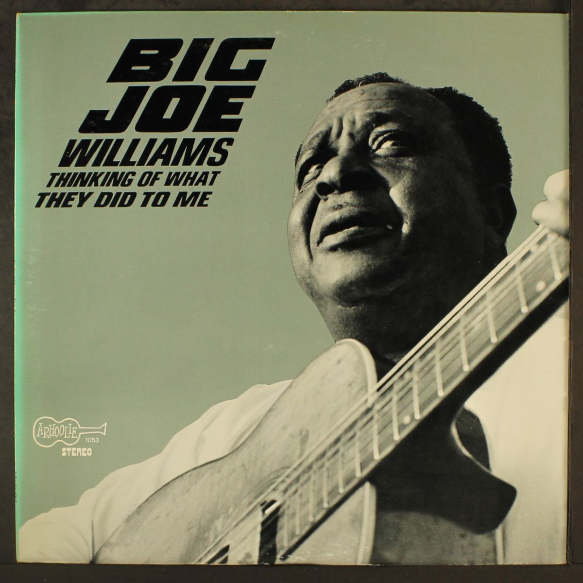 thinking of what they did to me by BIG JOE WILLIAMS