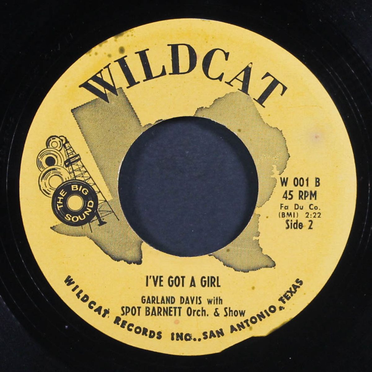 i've got a girl / betty jo by GARLAND DAVIS